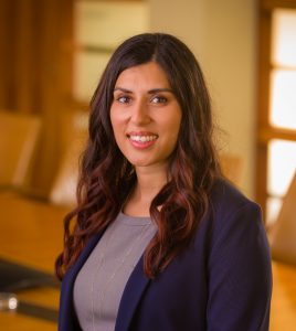 Attorney Seep Paliwal - Stafford Rosenbaum LLP